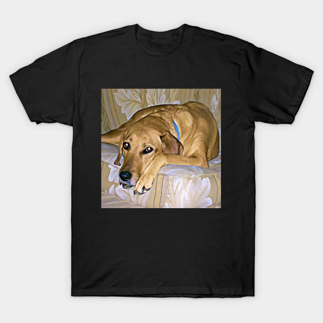 Gypsy On The Sofa T-Shirt by cameradog